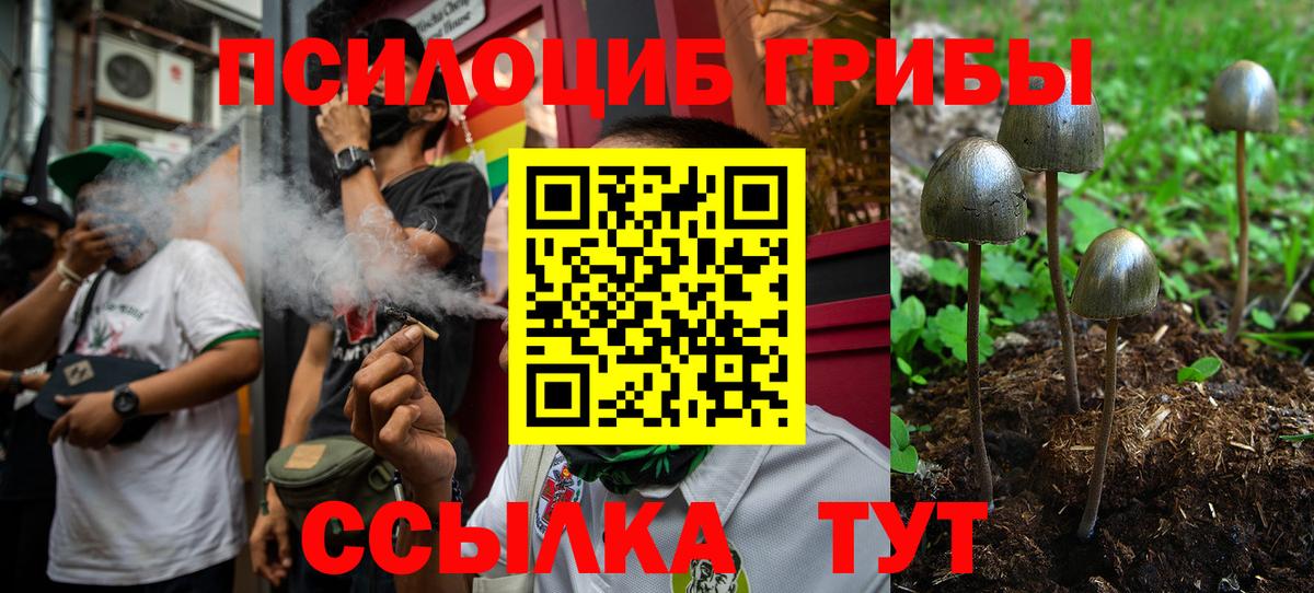 наркотики  Псилоцибиновые грибы Psilocybe  Вход с VPN  Батайск 